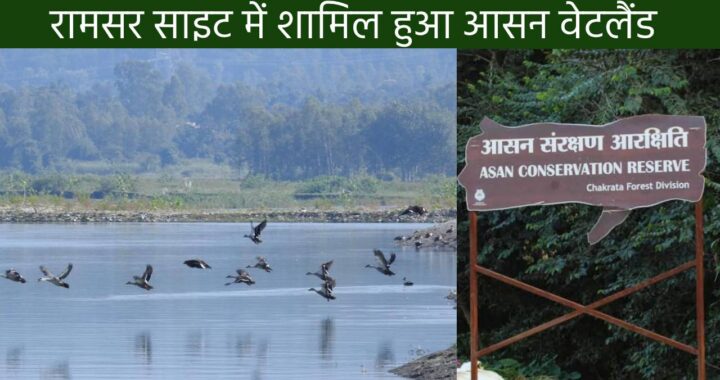 Asan Conservation wetland in Ramsar Site