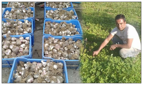 Vijay semwal barsu sold garlic worth 1.6 lakh