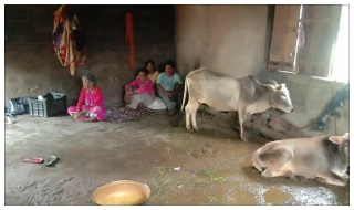 FAmily living in cow shelter for two years