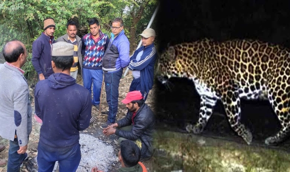 Leopard killed 7 year old boy