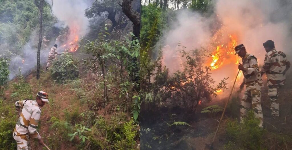 itbp jawan forest fire