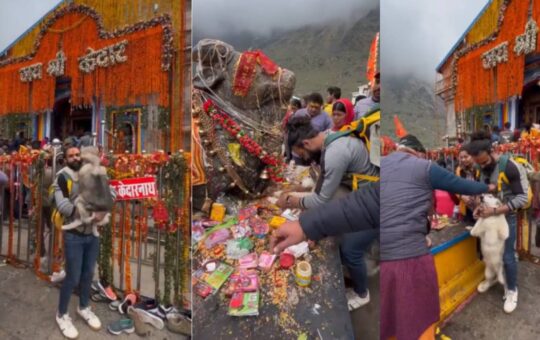 Action order against man for touching dogs feet to nandi in kedarnath