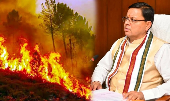 Cm dhami instruct strict actions to control forest fire