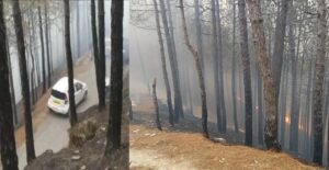 forest fire intensifies in tehri, vehicle stranded in road