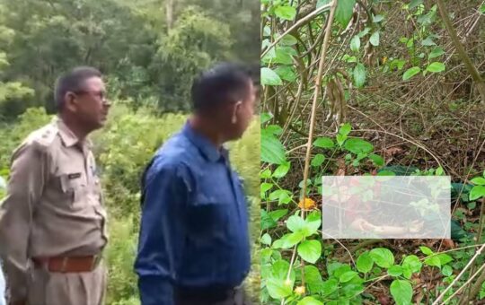 leopard killed women in pauri dugadda