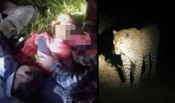 Leopard killed 4 year old girl