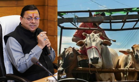 Gangster act on cow smugglers Uttarakhand raibar