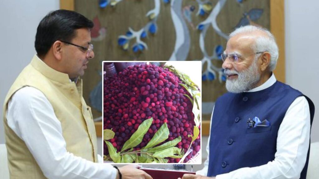 PM MODI PRAISE LOCAL FRUIT KAFAL