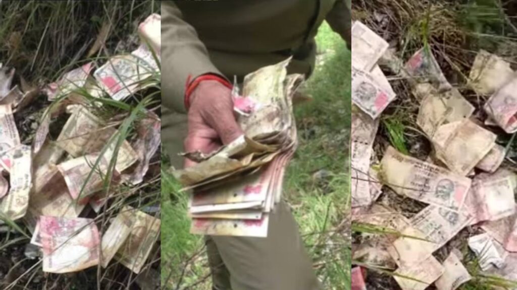 old currency notes of 500 and 100 found in jungle