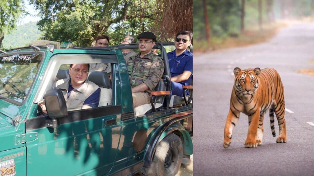 cm dhami took jungle safari in corbett