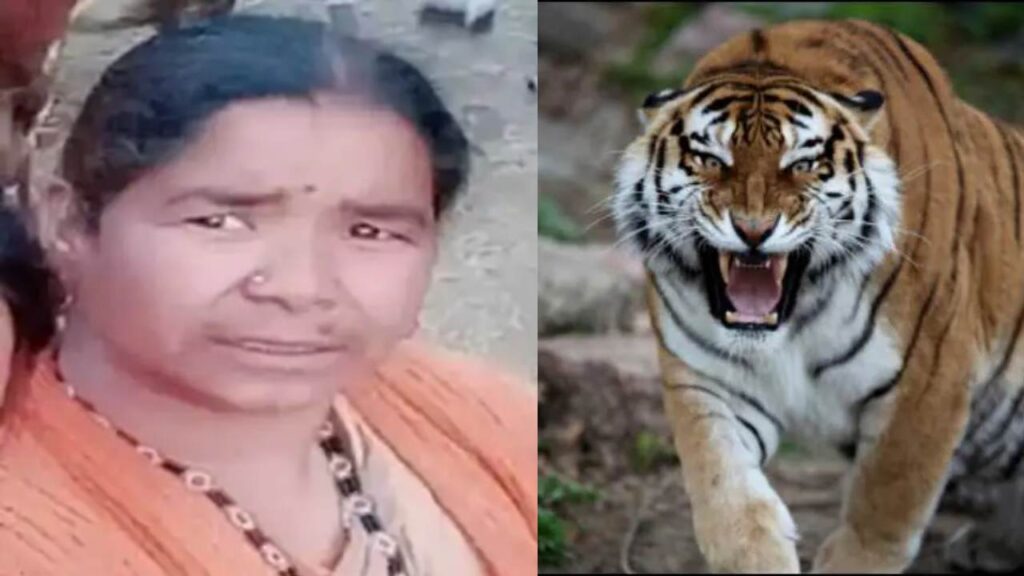 tiger killes women in nainidanda pauri garhwal