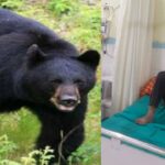 पौड़ी: खिर्सू क्षेत्र में अग्निवीर भर्ती की तैयारी कर रहे युवाओं पर भालू का हमला, दोनों घायल