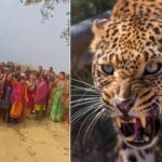 पौड़ी: काम से लौट रहे मिस्त्री को गुलदार ने बनाया निवाला, विभाग की लापरवाही पर लोगों में आक्रोश