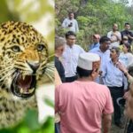 हे भगवान! पौड़ी में गुलदार का एक और शिकार, खाण्ड्यूसैण में घास लेने गई महिला को बनाया निवाला