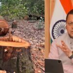 फिलहाल नहीं कटेंगे सातमोड़ के जंगल में 3 हजार पेड़,  उत्तराखंड सरकार ने पेड़ कटान पर लगाई अस्थाई रोक