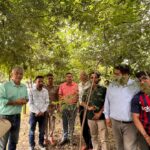 देहरादून में नई तकनीक से विकसित हो रहे जंगल, 90% से ज्यादा है पौधों का सर्वाइवल रेट